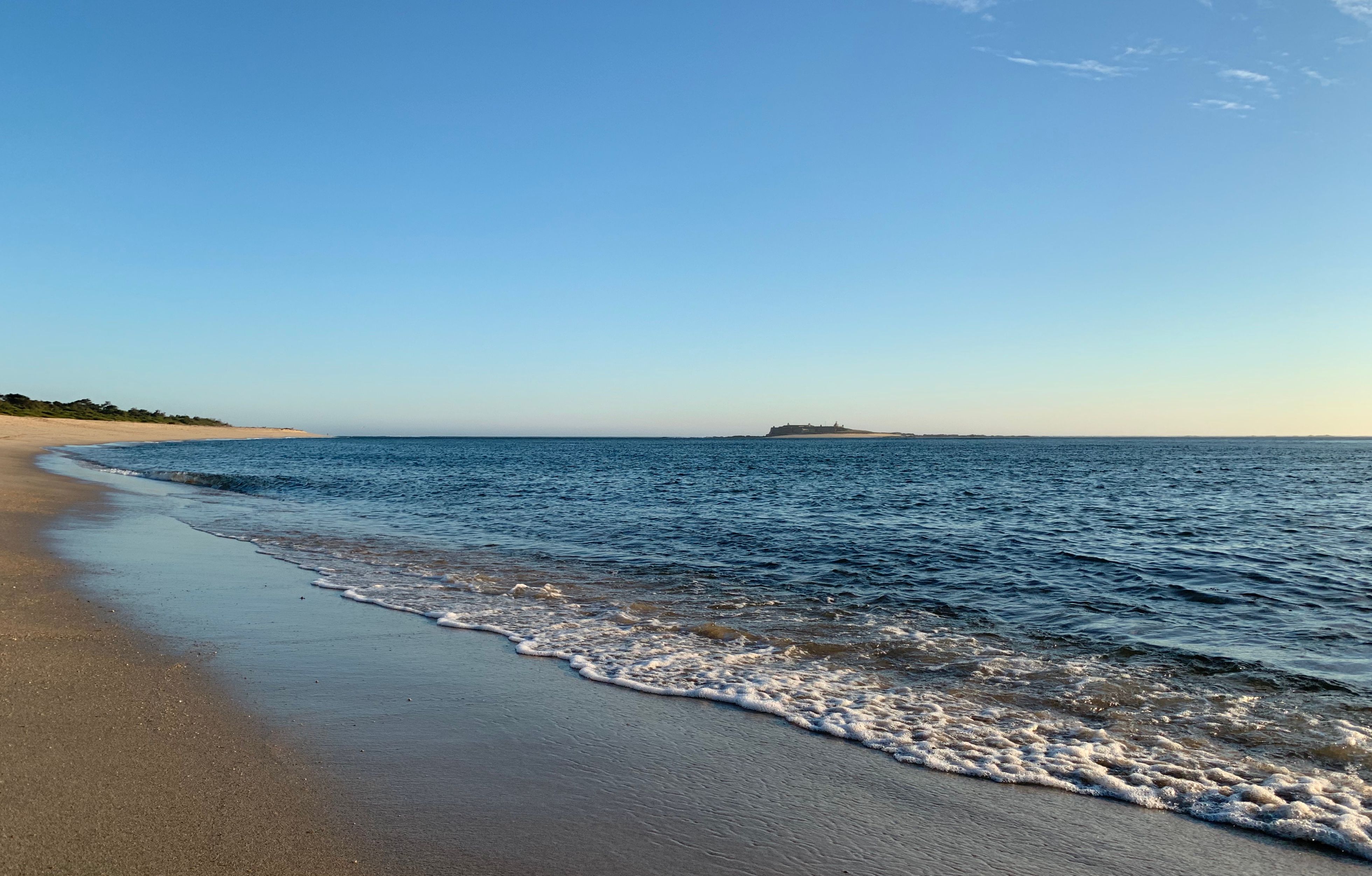 Fire Island hotels see early booking trend this season — Photo by Sergei  Gussev on Pexels