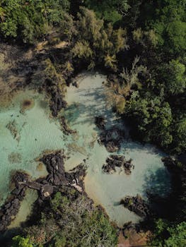 Stunning aerial photograph of coral formations and lava rocks in Hawaii's lush landscape.