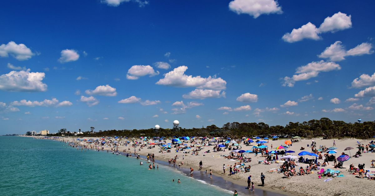 Sunny beach scene in Venice, Florida with crowds enjoying the ocean and sand under a blue sky.
