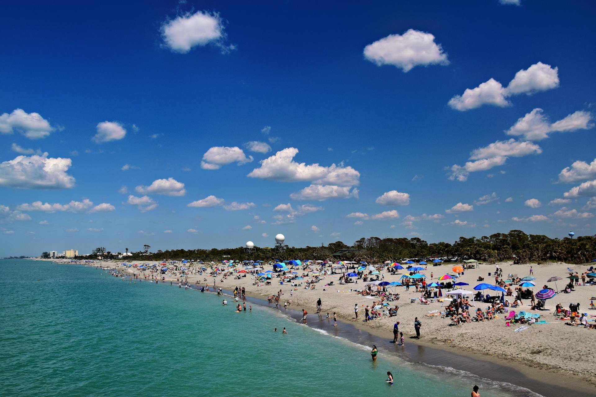 Sunny beach scene in Venice, Florida with crowds enjoying the ocean and sand under a blue sky.