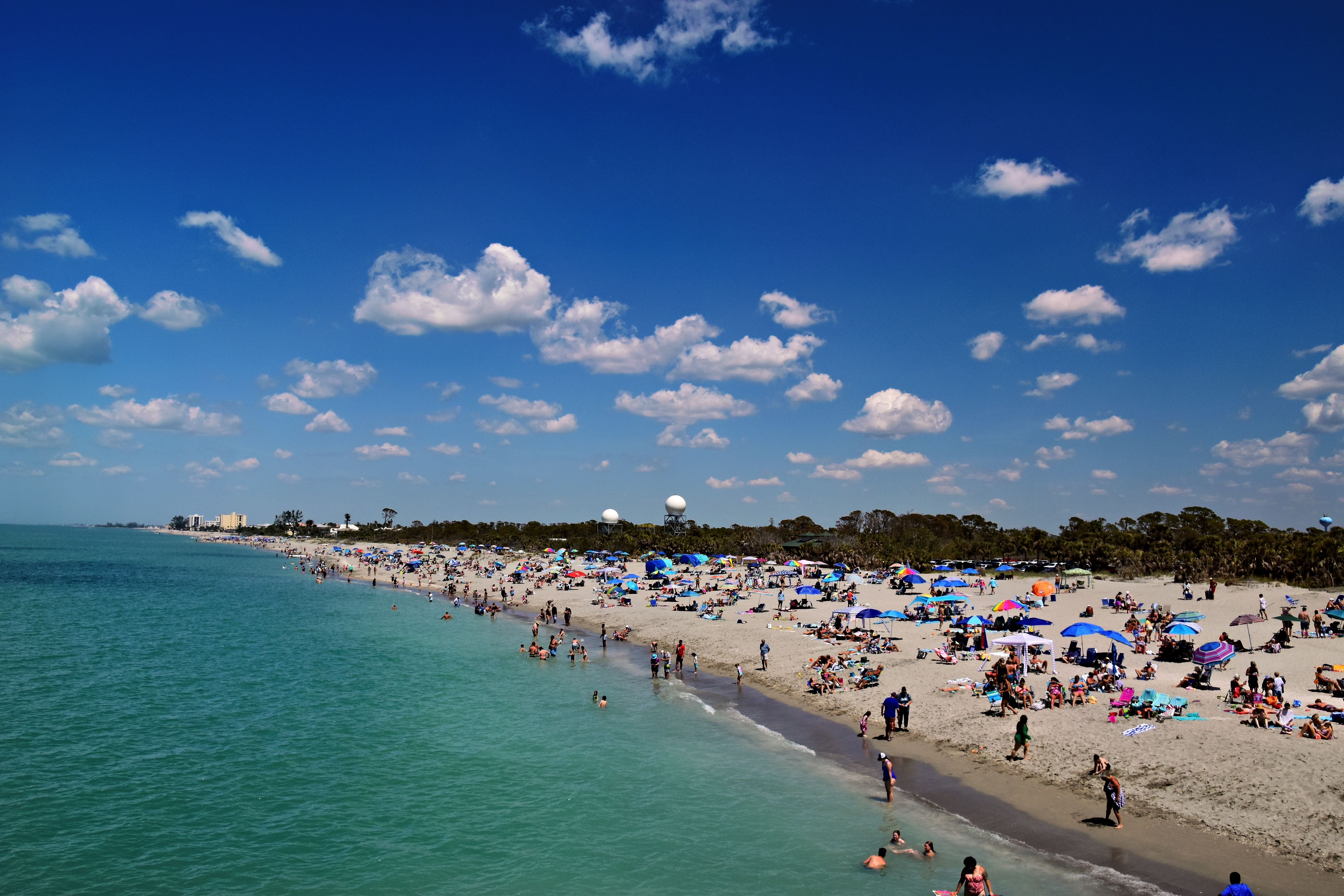 Crowds enjoy a sunny day at Venice Beach, Florida with clear skies and vibrant beach umbrellas.