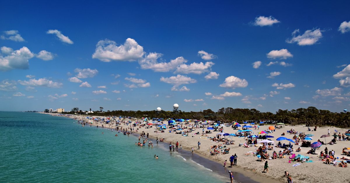 Crowds enjoy a sunny day at Venice Beach, Florida with clear skies and vibrant beach umbrellas.