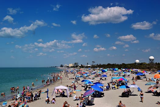 People enjoying a sunny day at a crowded beach in Venice, Florida, under colorful umbrellas.