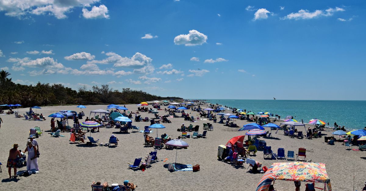 Vibrant beach scene with umbrellas and people enjoying the sun at Venice Beach, Florida.