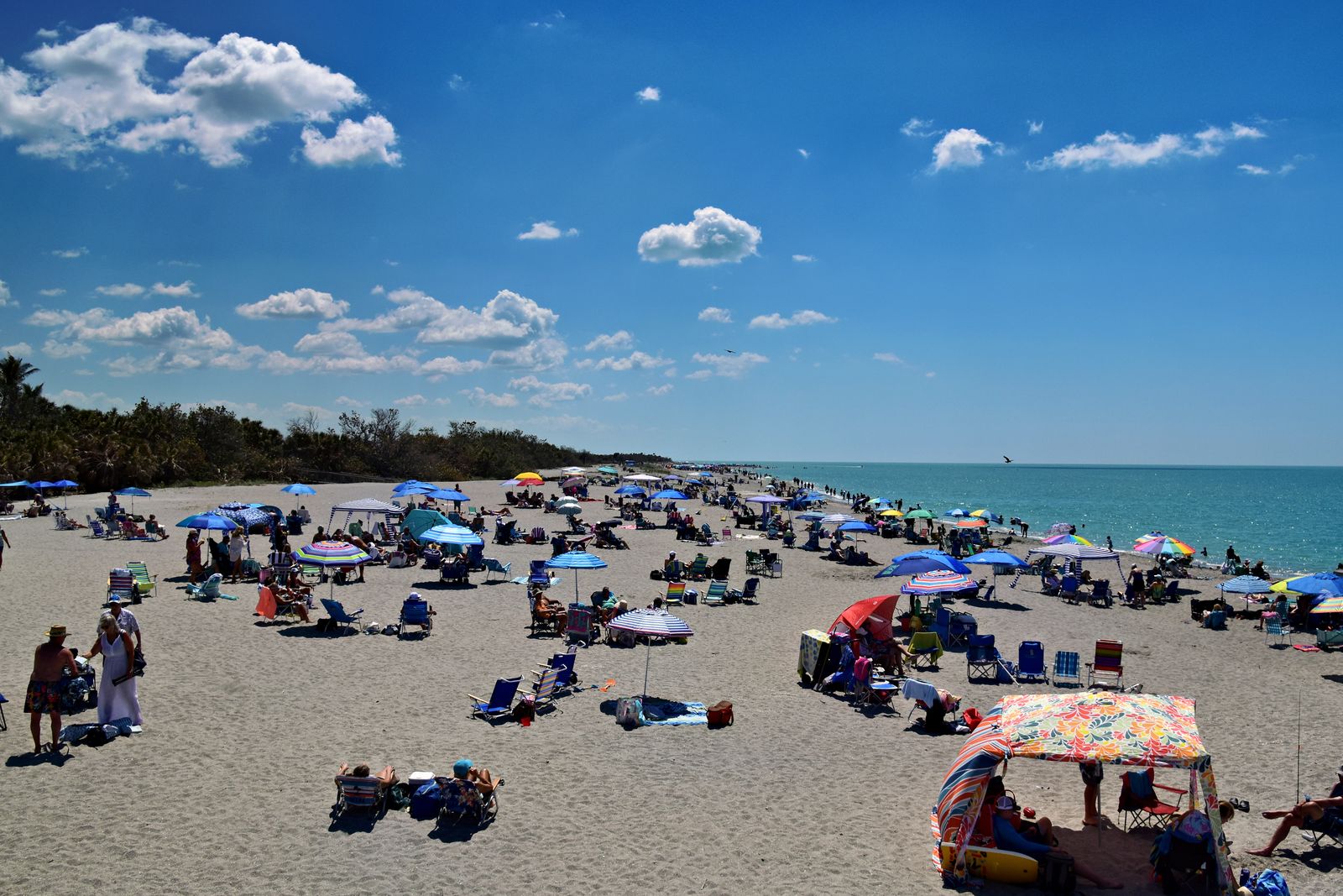 Sunny day at Venice Beach, Florida seaside