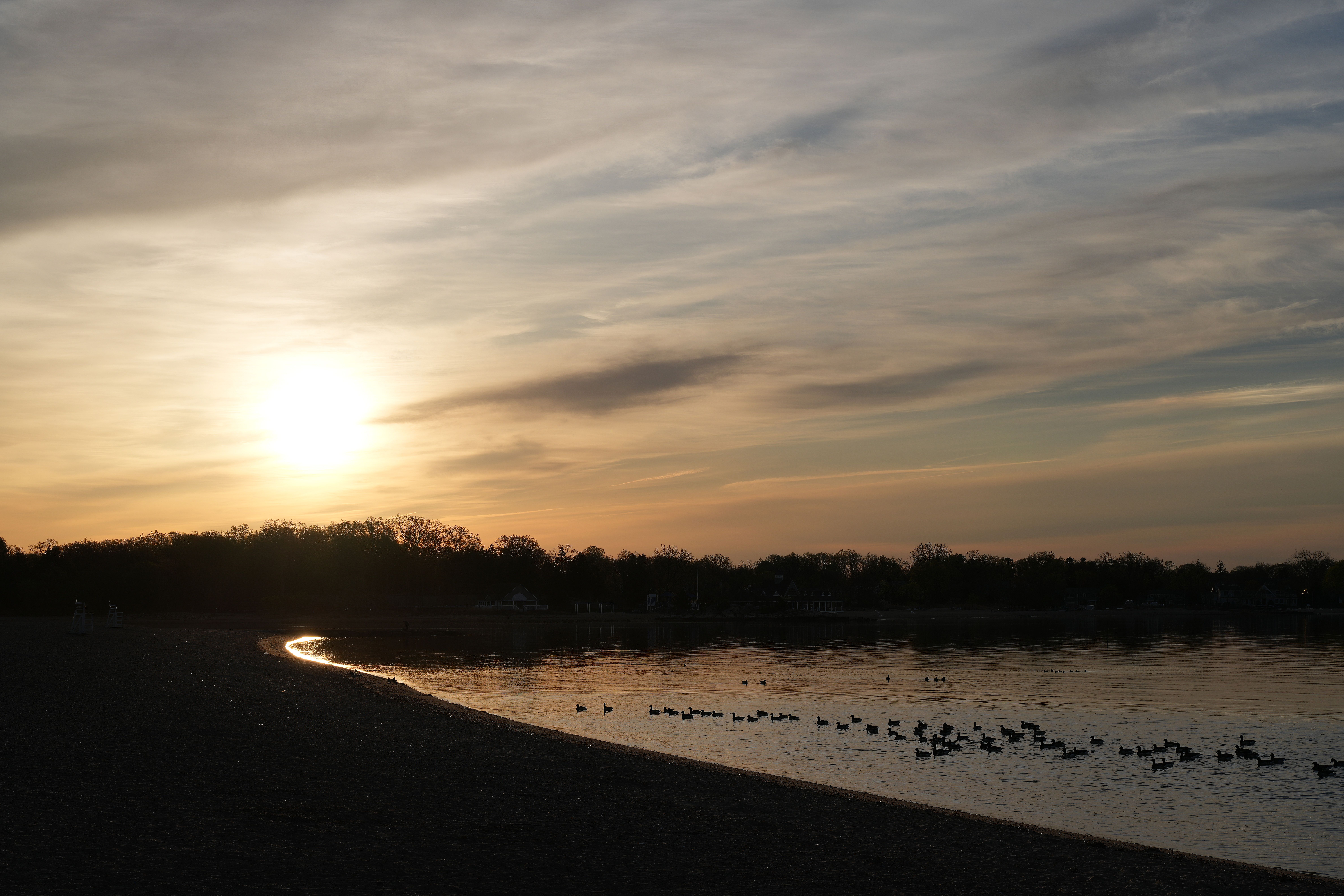 Peaceful sunrise view over Stamford shoreline with silhouette of waterfowl on the reflective water. - Gante