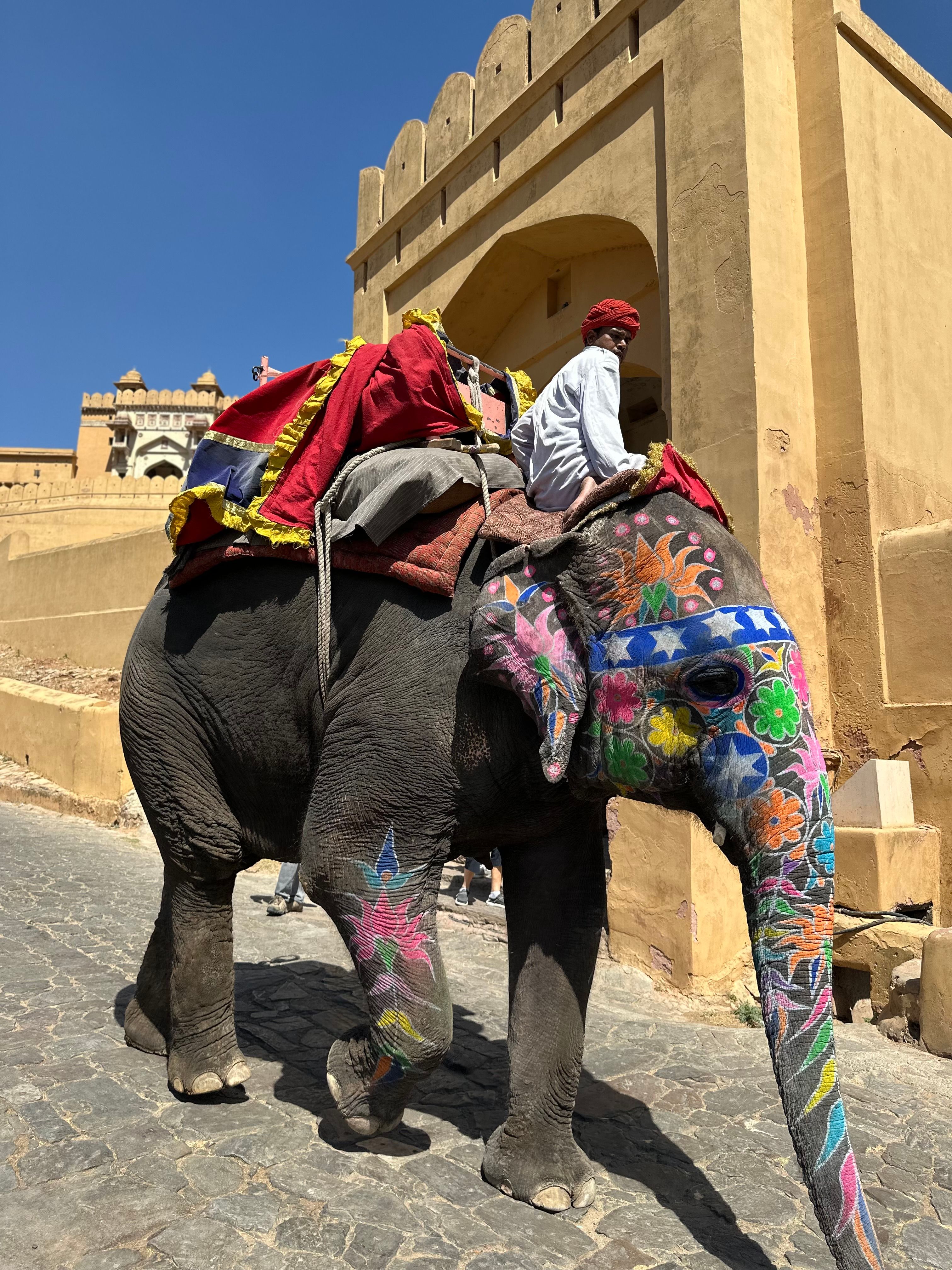 Traditional Elephant Ride at Amer Fort, Jaipur · Free Stock Photo