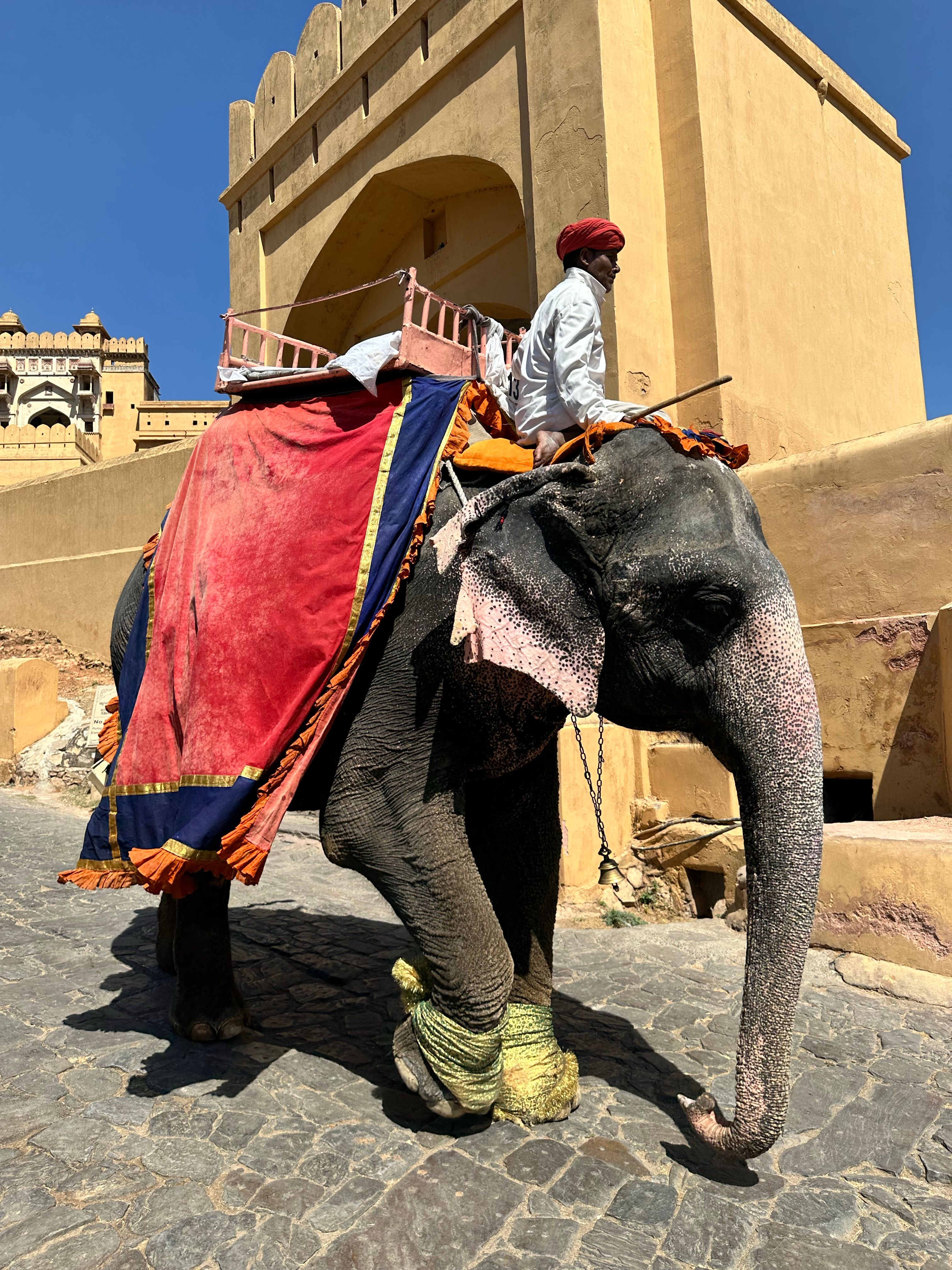 Elephant Ride at Historic Amber Fort in India · Free Stock Photo