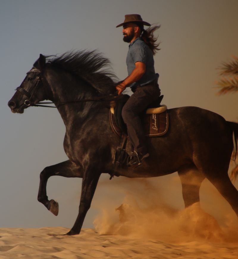 Coastal Horseback Riding