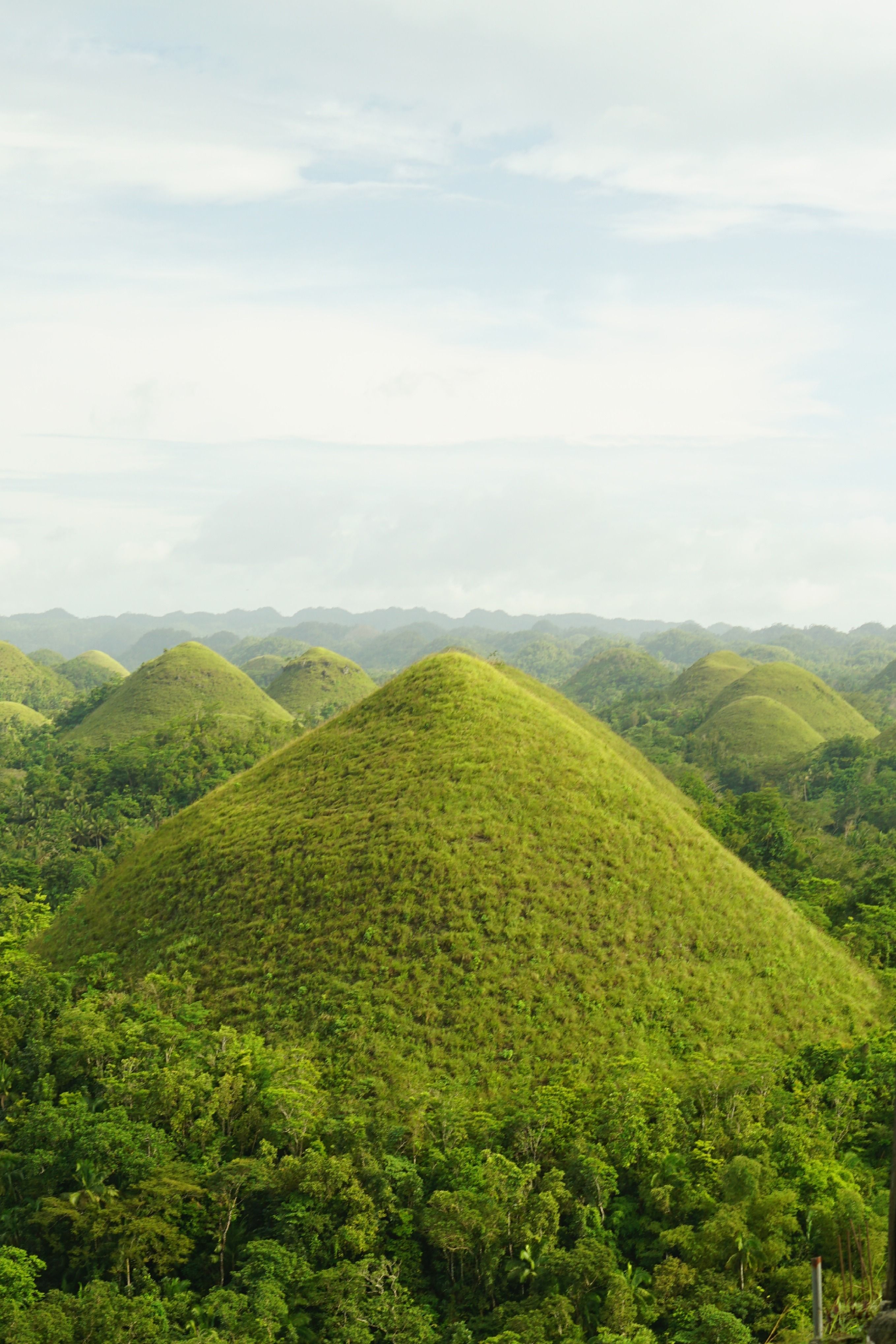 Explore Bohol