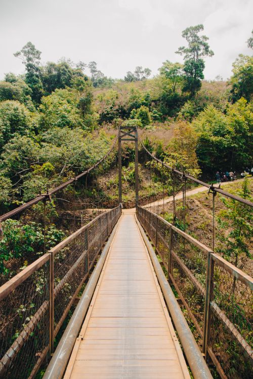 Free Suspension bridge amidst lush greenery in Gia Lai, Vietnam, offering scenic views. Stock Photo
