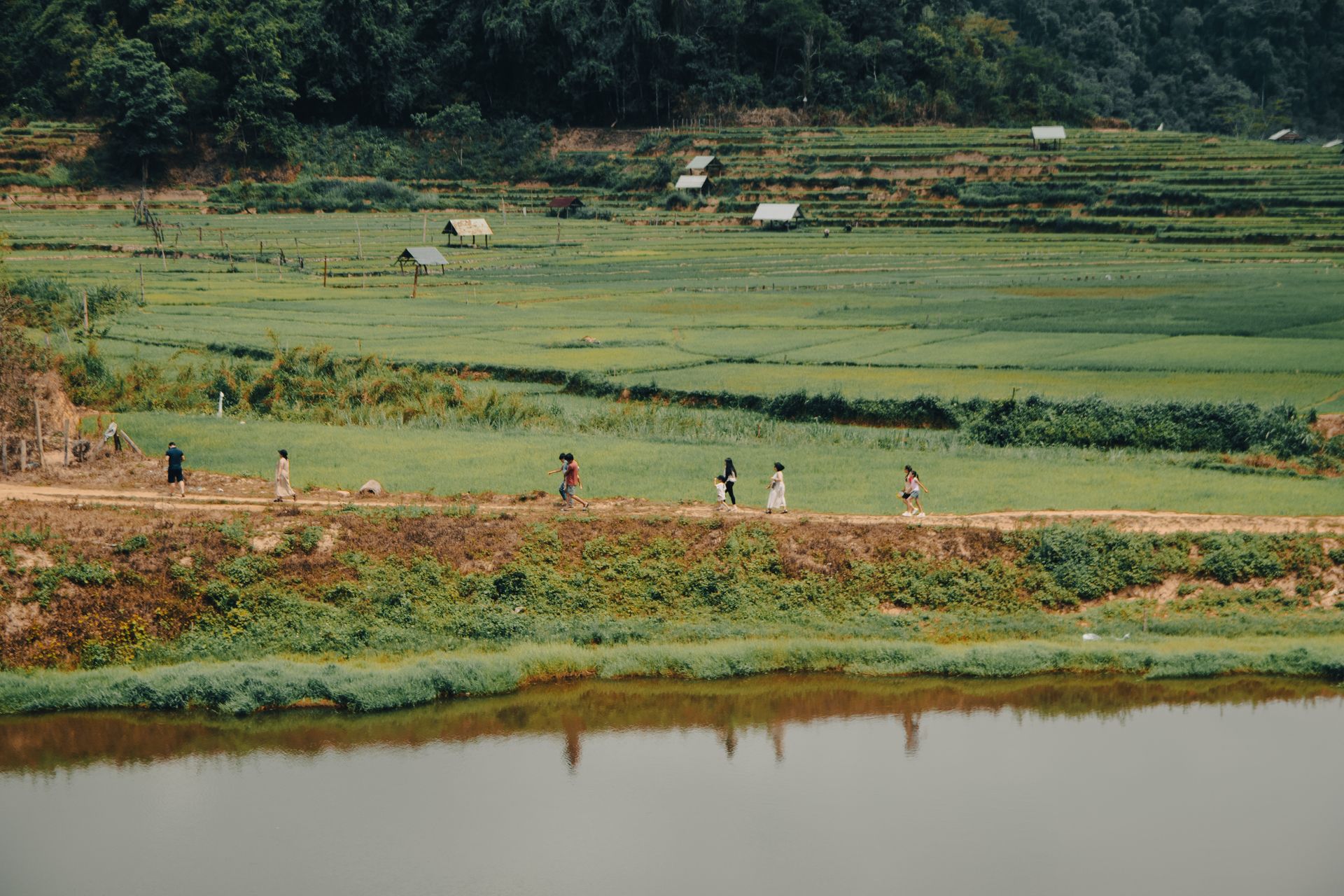 Peaceful landscape of lush rice terraces in Gia Lai, Vietnam with people walking along a path.