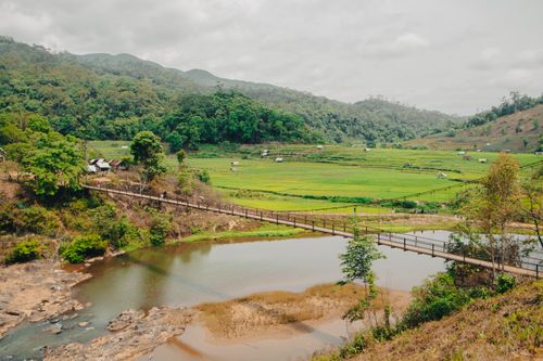 Free Beautiful rural landscape with lush green fields and a river in Gia Lai, Vietnam. Stock Photo