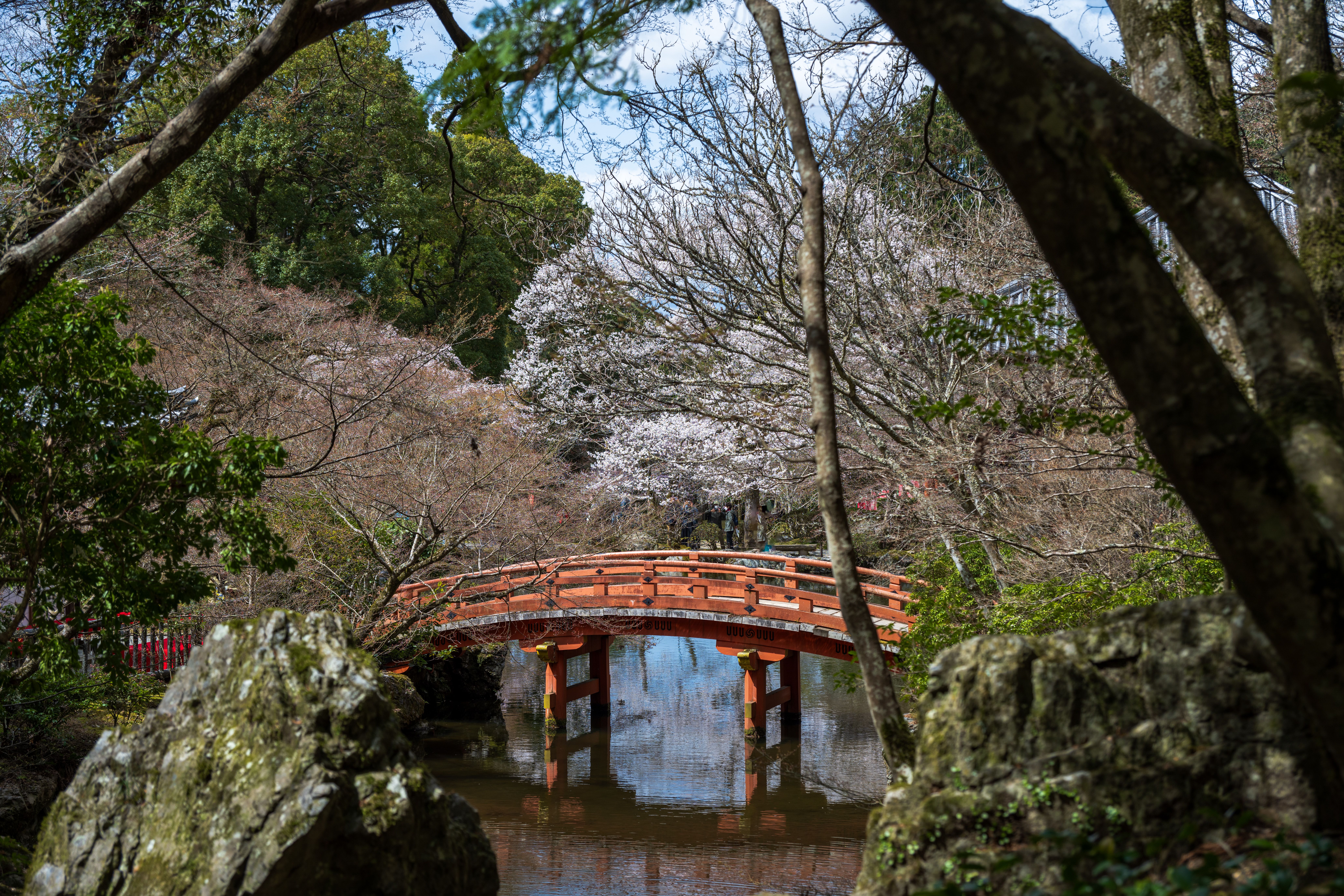 Serene Japanese Garden with Red Bridge in Spring · Free Stock Photo