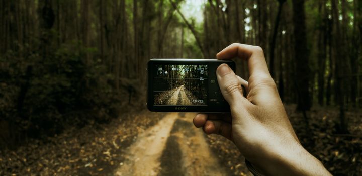 Hand holding a camera capturing a forest pathway scene, blending technology with nature.