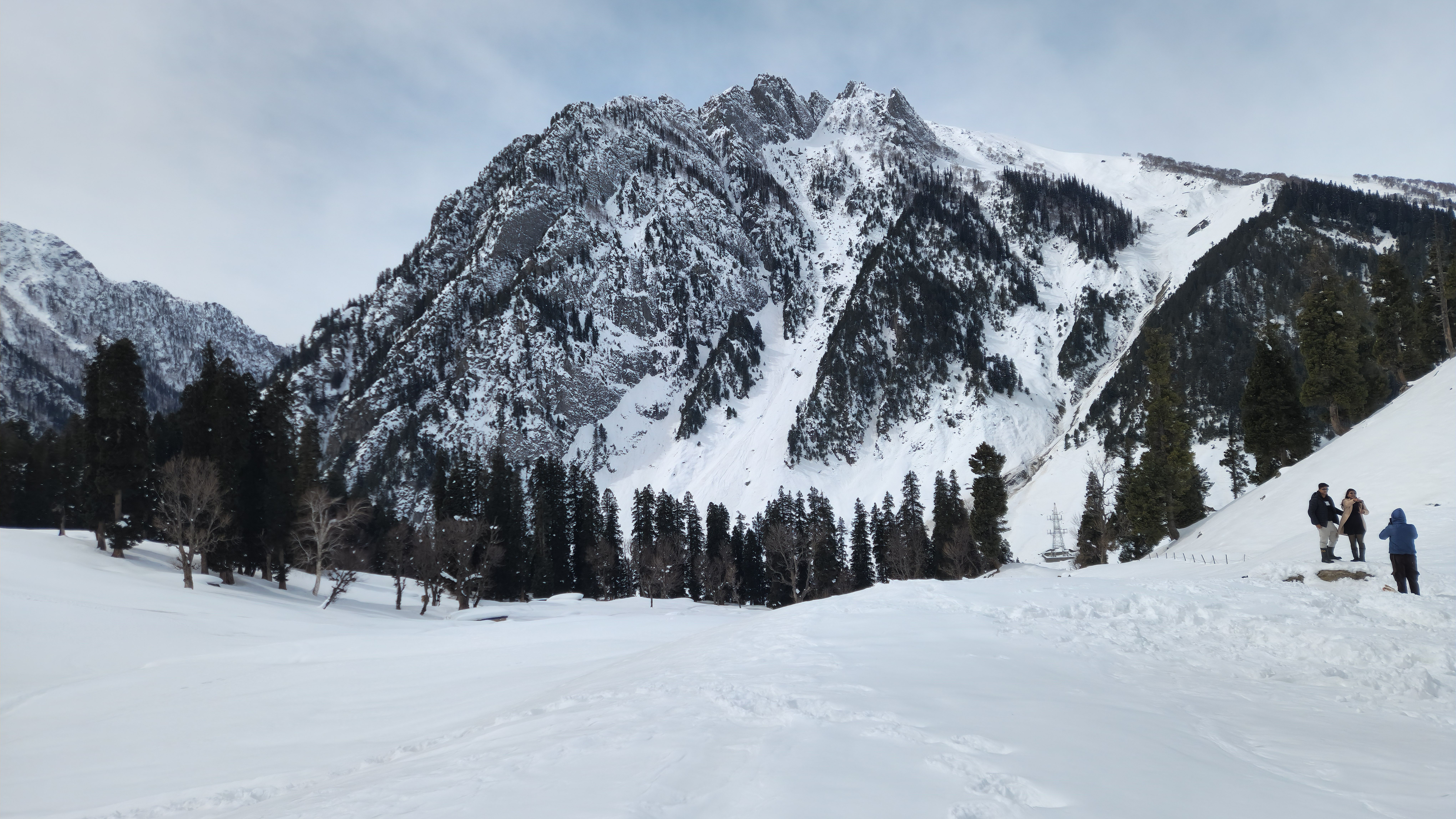 Snowy Mountain Landscape with Pine Trees · Free Stock Photo