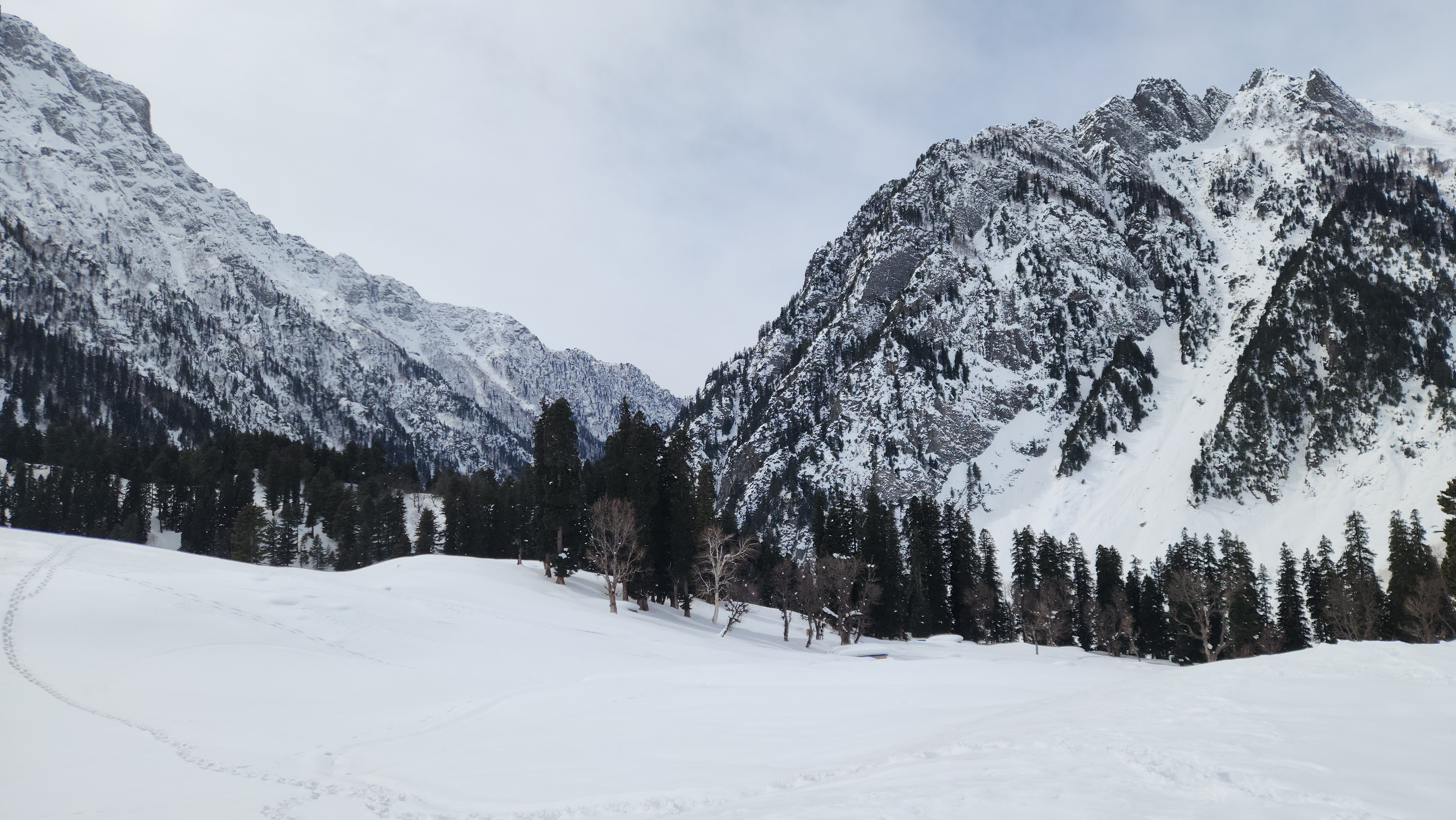 Snowy Mountain Landscape with Evergreen Trees · Free Stock Photo