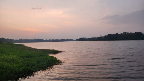 Free Calm lake view at sunset with a grassy shoreline under a softly colored sky. Stock Photo