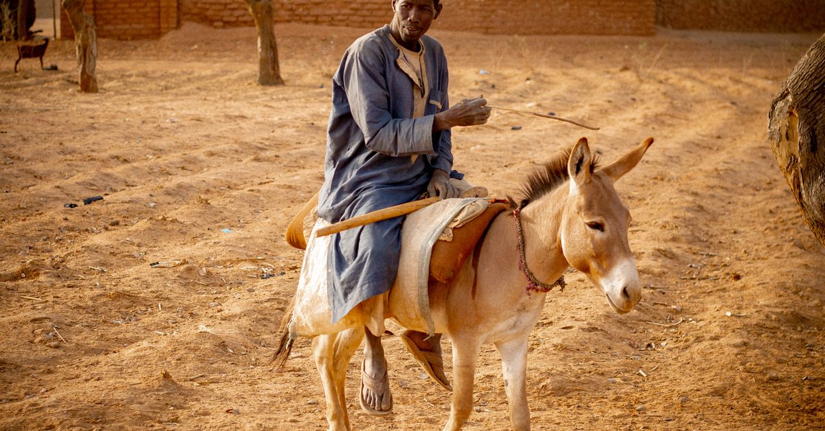 Mbour