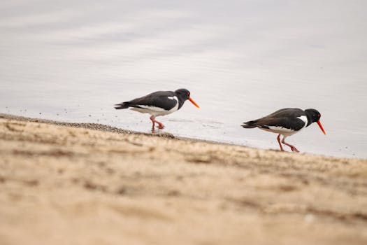 Makin Keren! Fintech AS Menggeliat di Tahun 2025