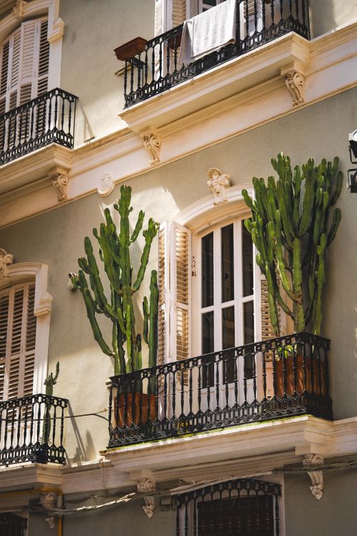 Free Open balcony with cacti in Mediterranean architectural style, ideal for travel or architecture themes. Stock Photo