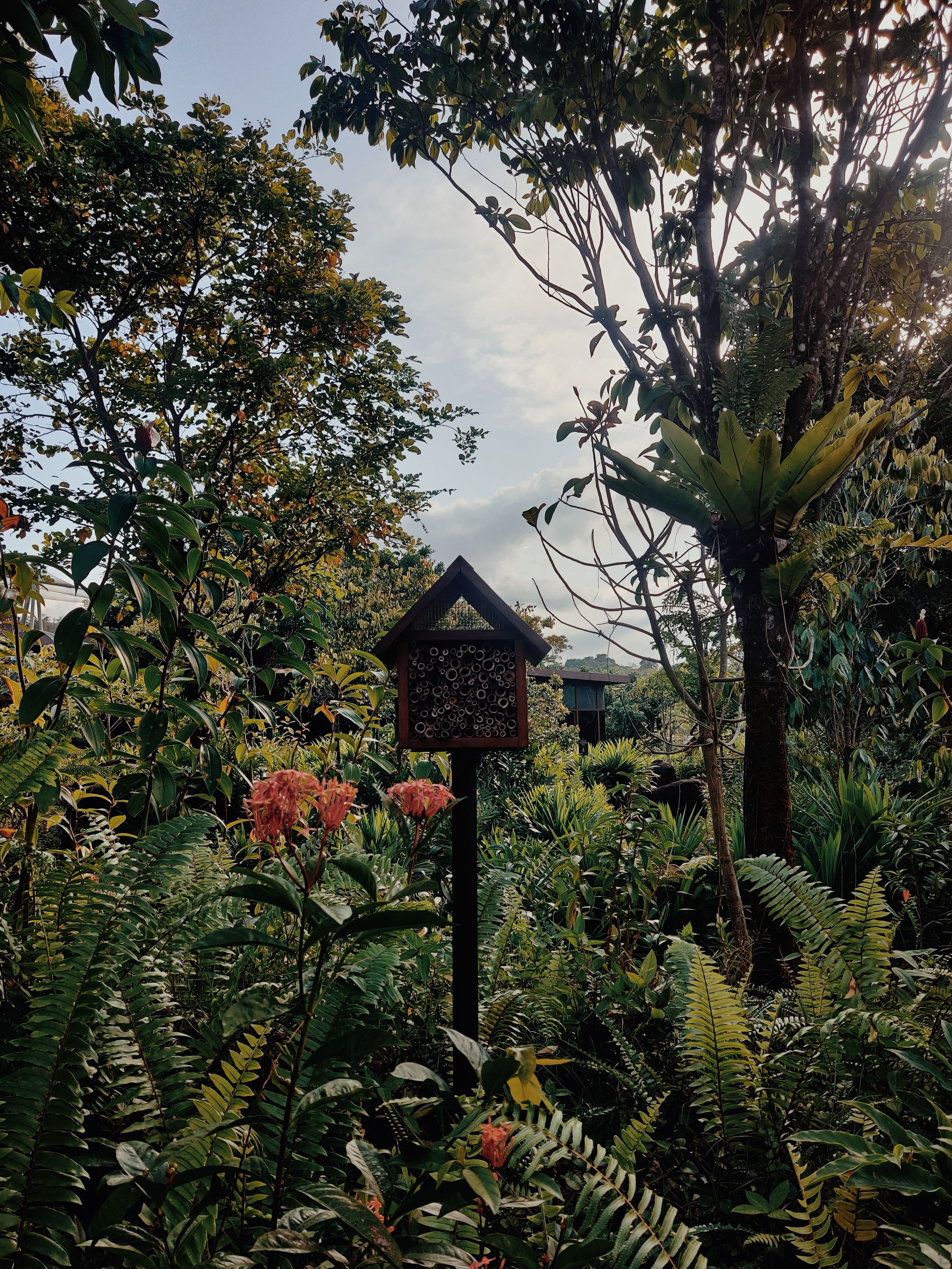 아시엔다 바루 야생동물 보호구역