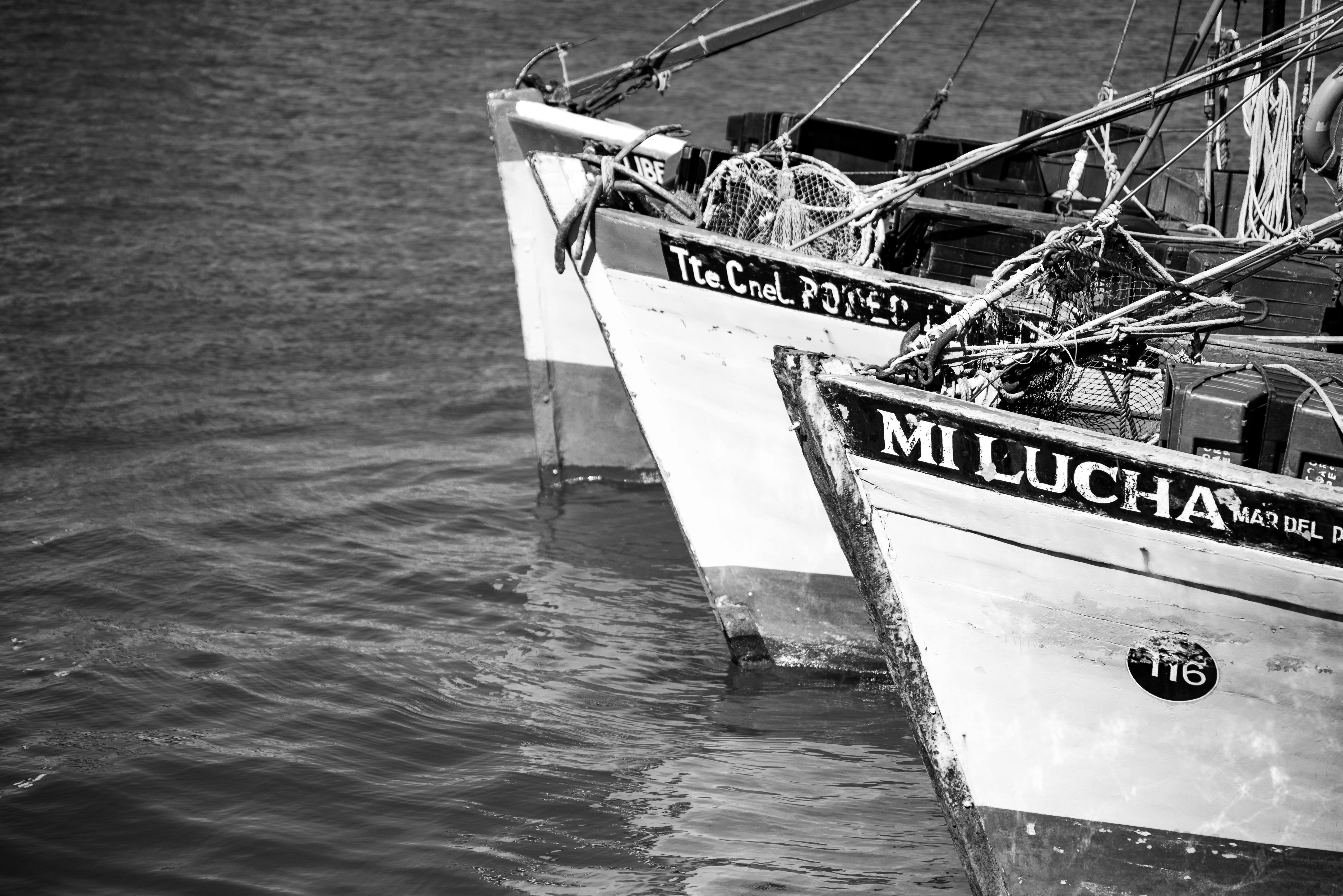 알리익스프레스 완벽한 하루를 위한 낚시 용품 추천 관련 이미지