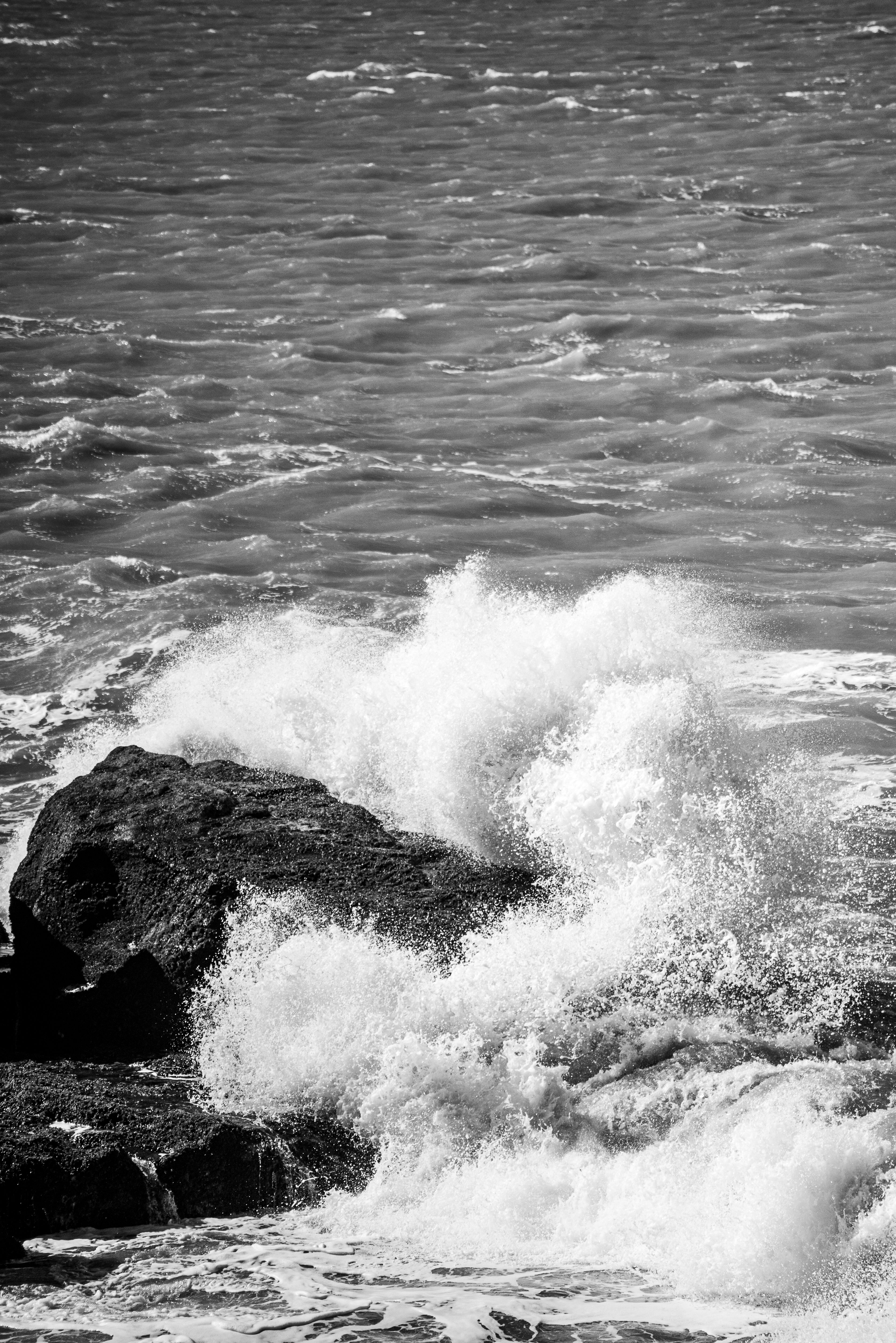 Black and White Waves Crashing on Rocks · Free Stock Photo