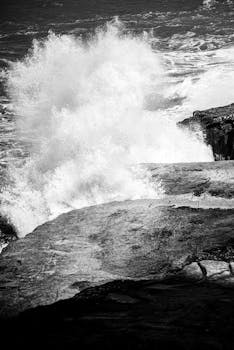 Free stock photo of arte urbana, black and white, black and white art