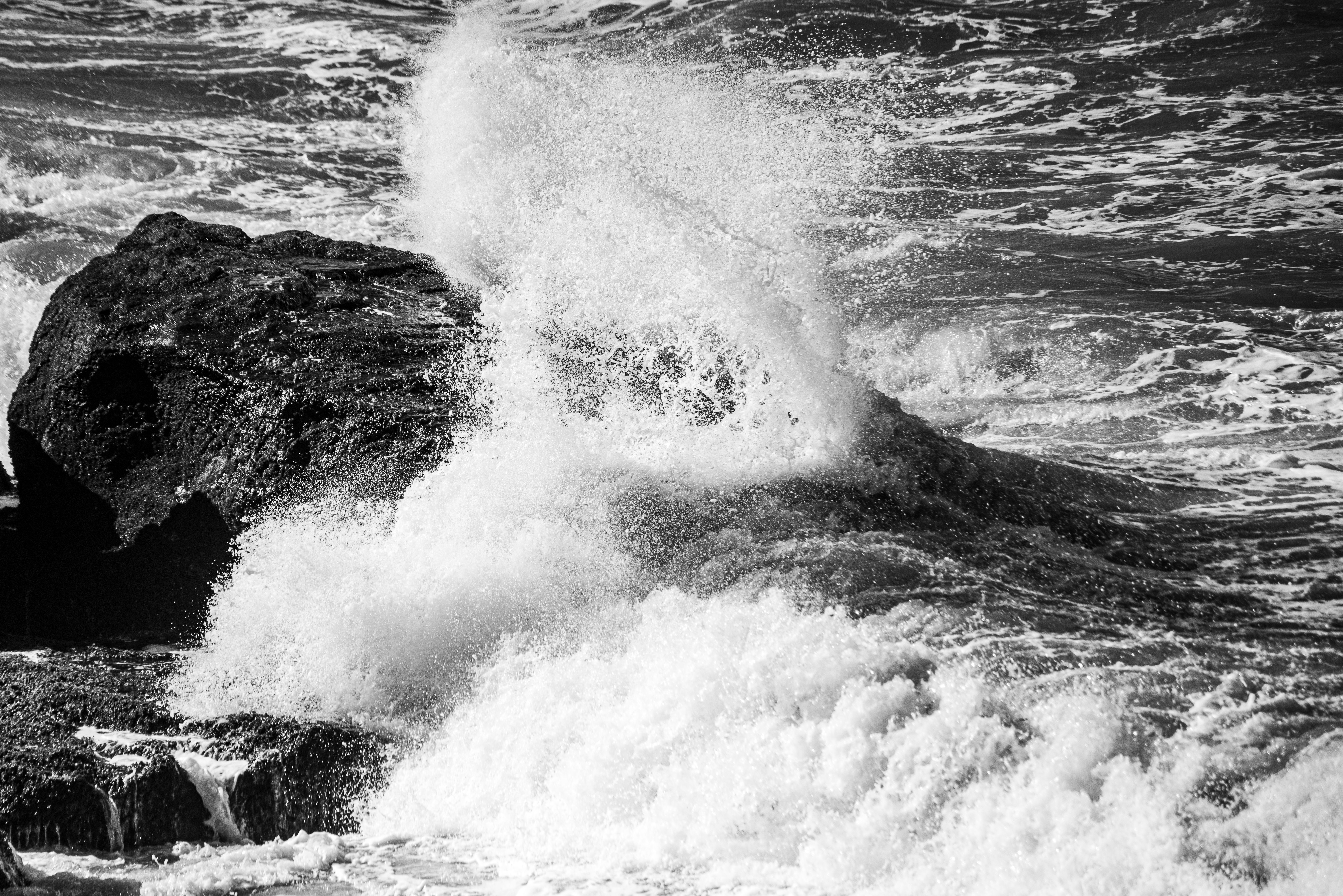Dramatic Black and White Ocean Wave Crush · Free Stock Photo