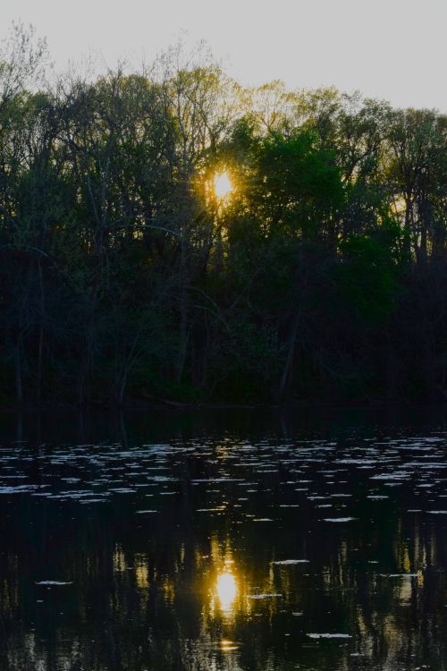 Free sunset Stock Photo