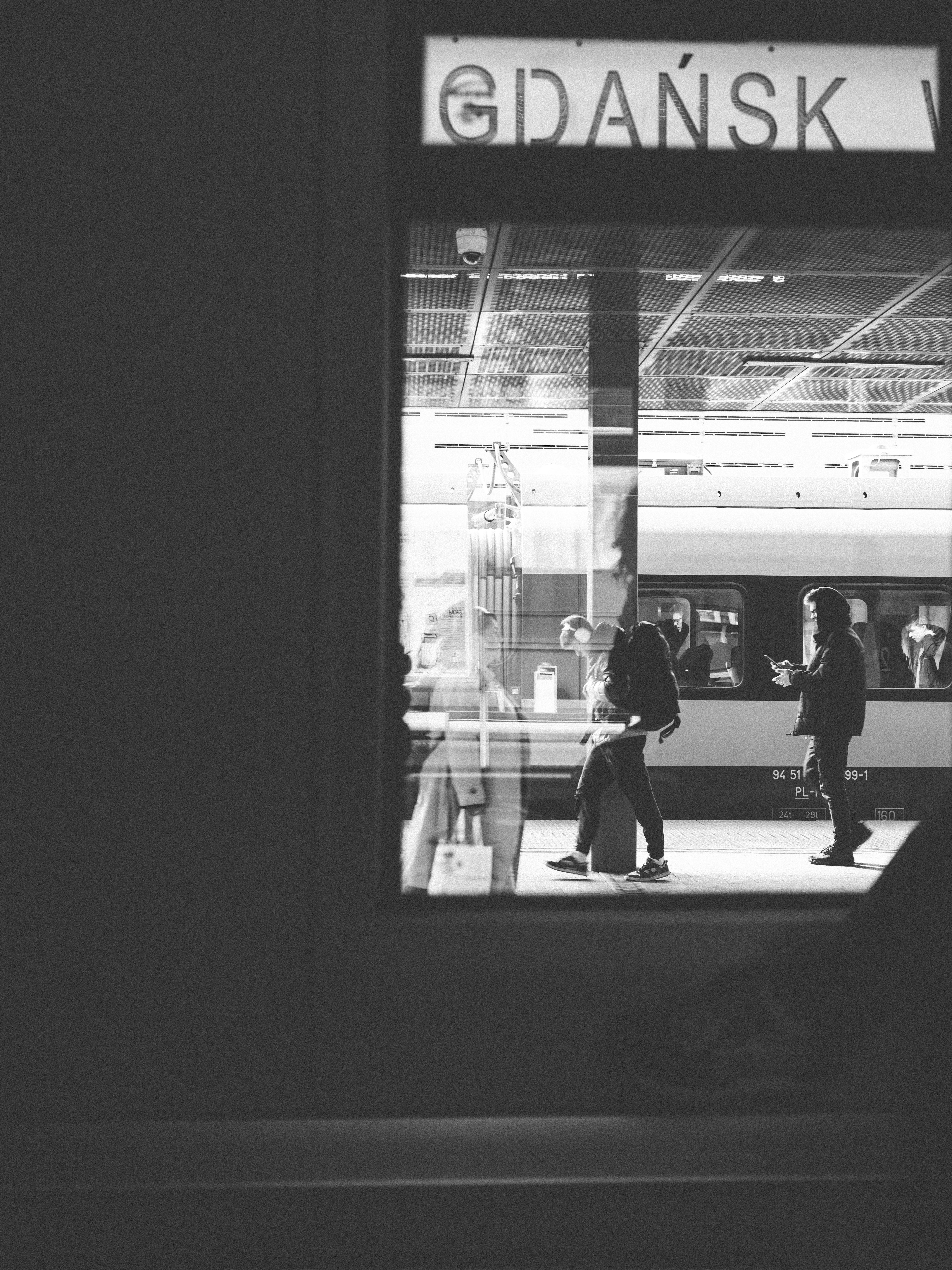 pexels-photo-31765824.jpeg