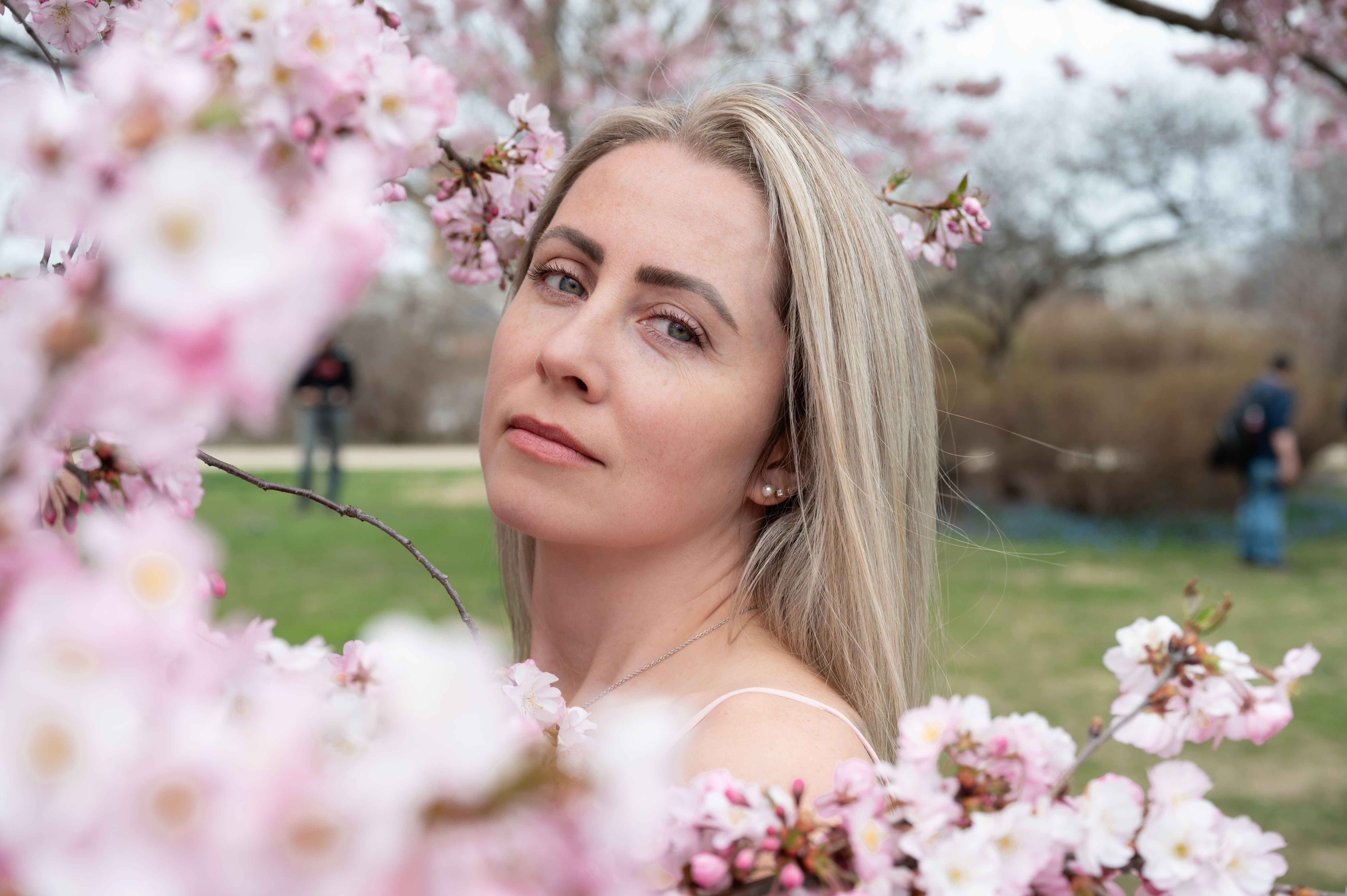 Portrait of a Woman Amid Cherry Blossoms in Spring · Free Stock Photo