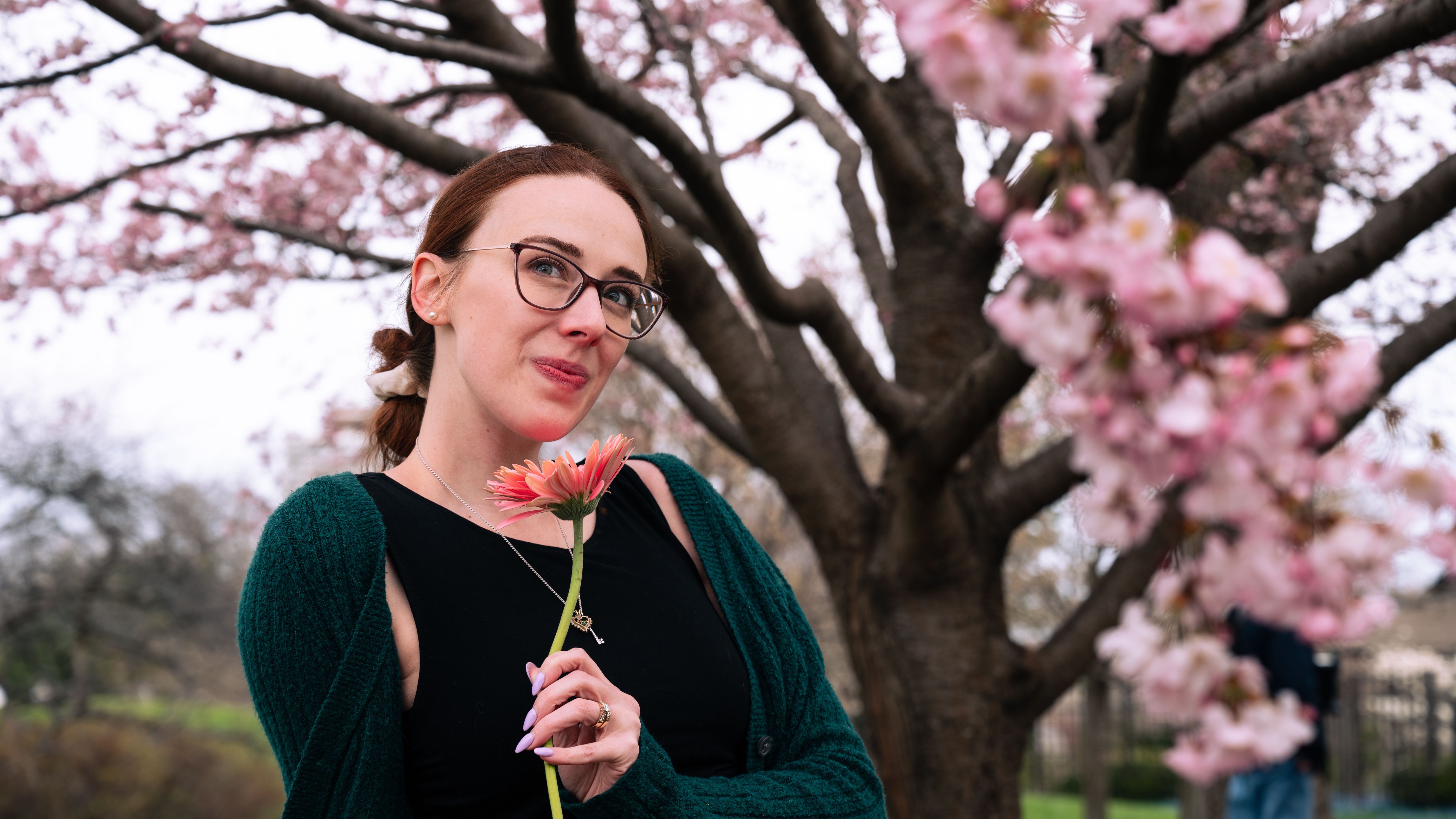 Woman Holding Flower Under Cherry Blossom Tree · Free Stock Photo