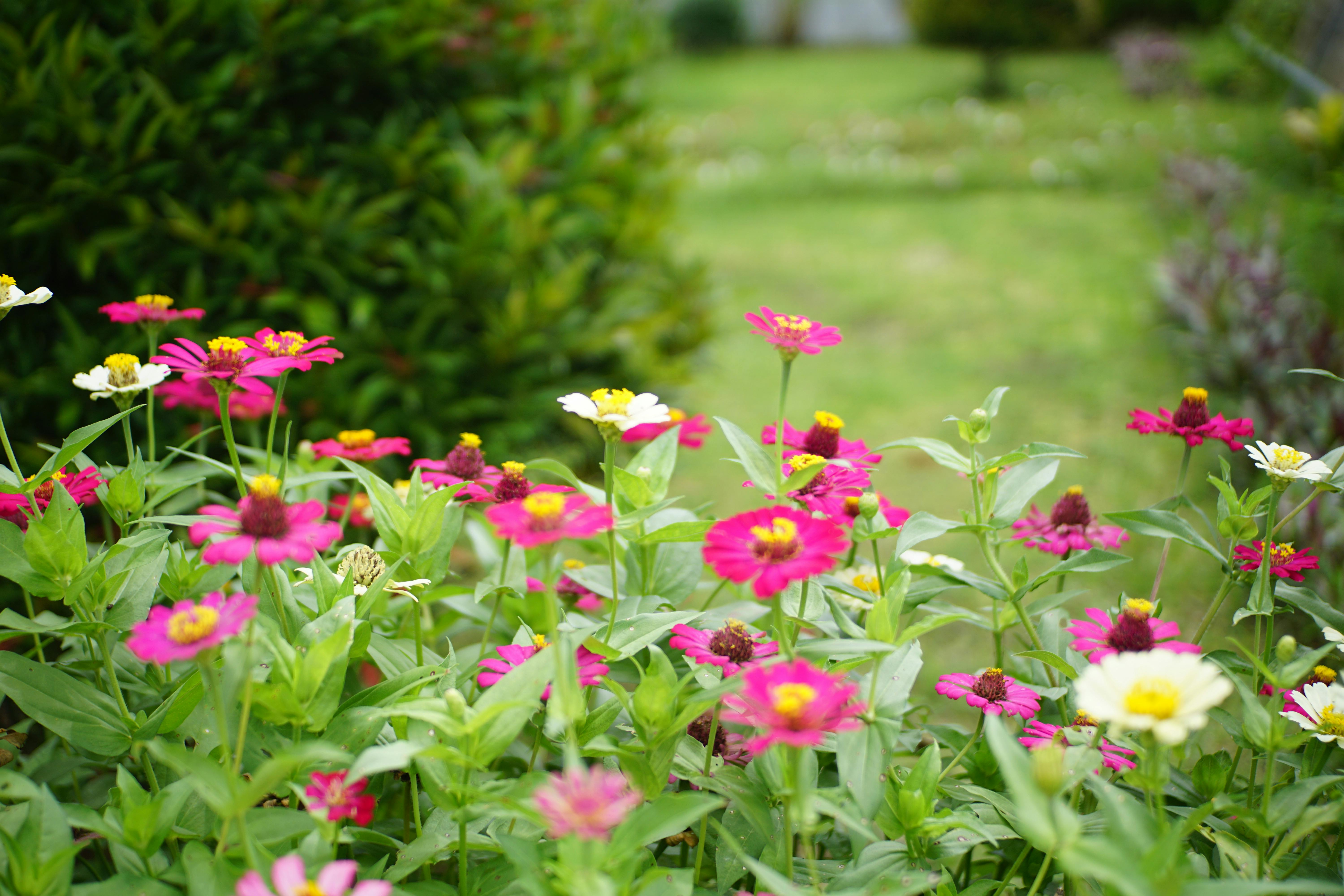 gardening, gardening leave, gardening tools, gardening gloves, gardening leave meaning, gardening hoe, gardening shoes, garde