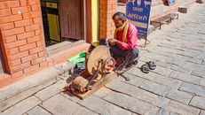 Local cobbler in traditional attire sharpens tools using a grinding machine on a vibrant street.