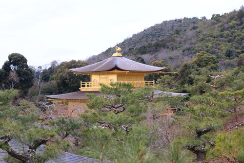 Free 金阁寺 Stock Photo