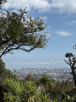 A breathtaking panoramic view of Los Angeles skyline framed by trees from Griffith Park.
