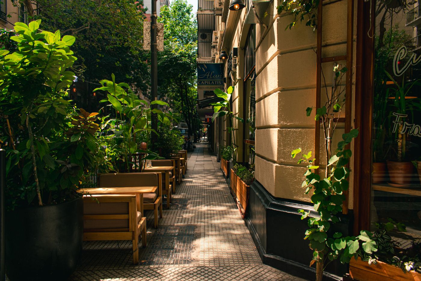 Casa de Pepino