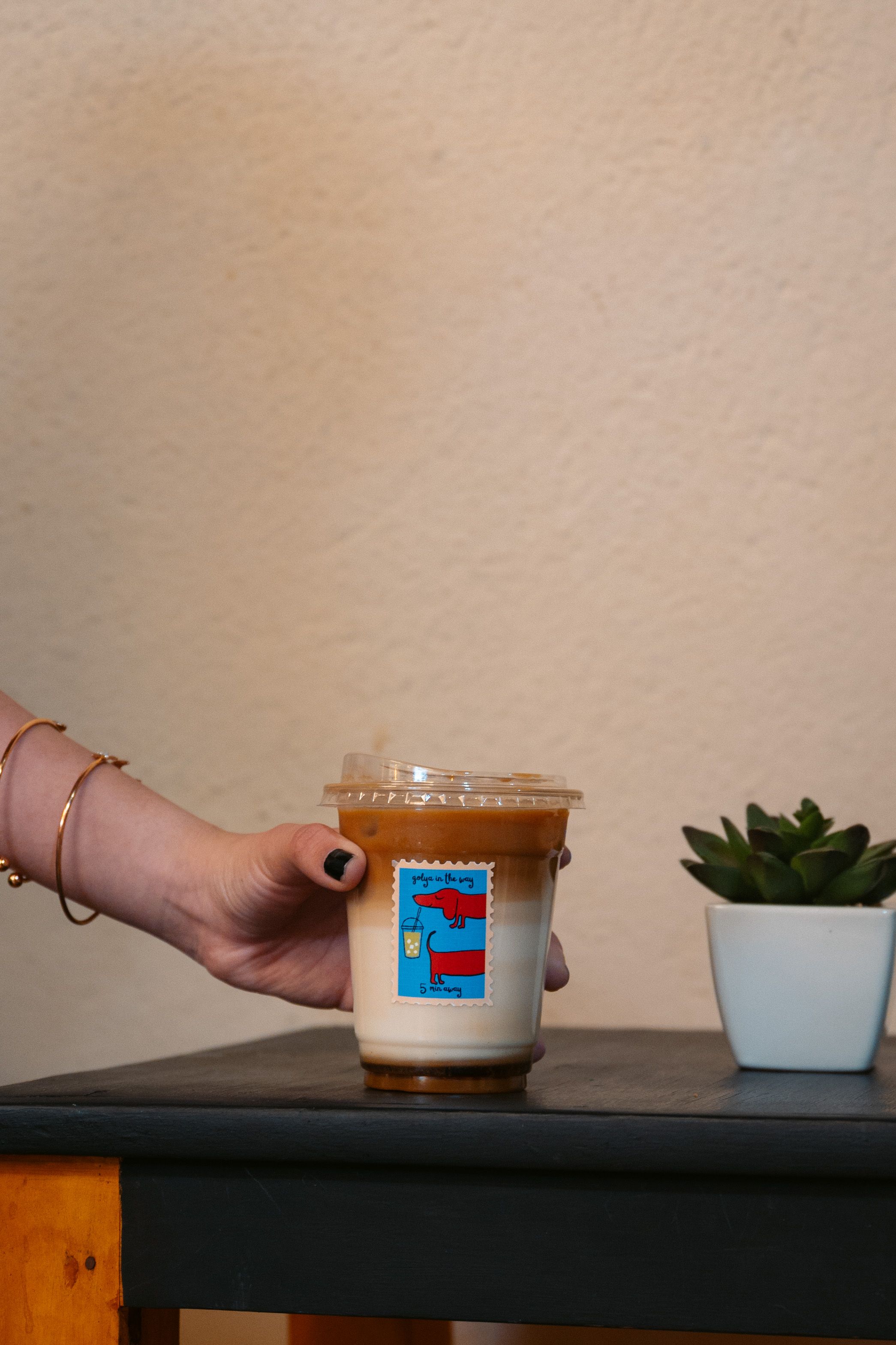 A stylish hand holds an iced coffee beside a succulent in a café setting in Guanajuato, México.