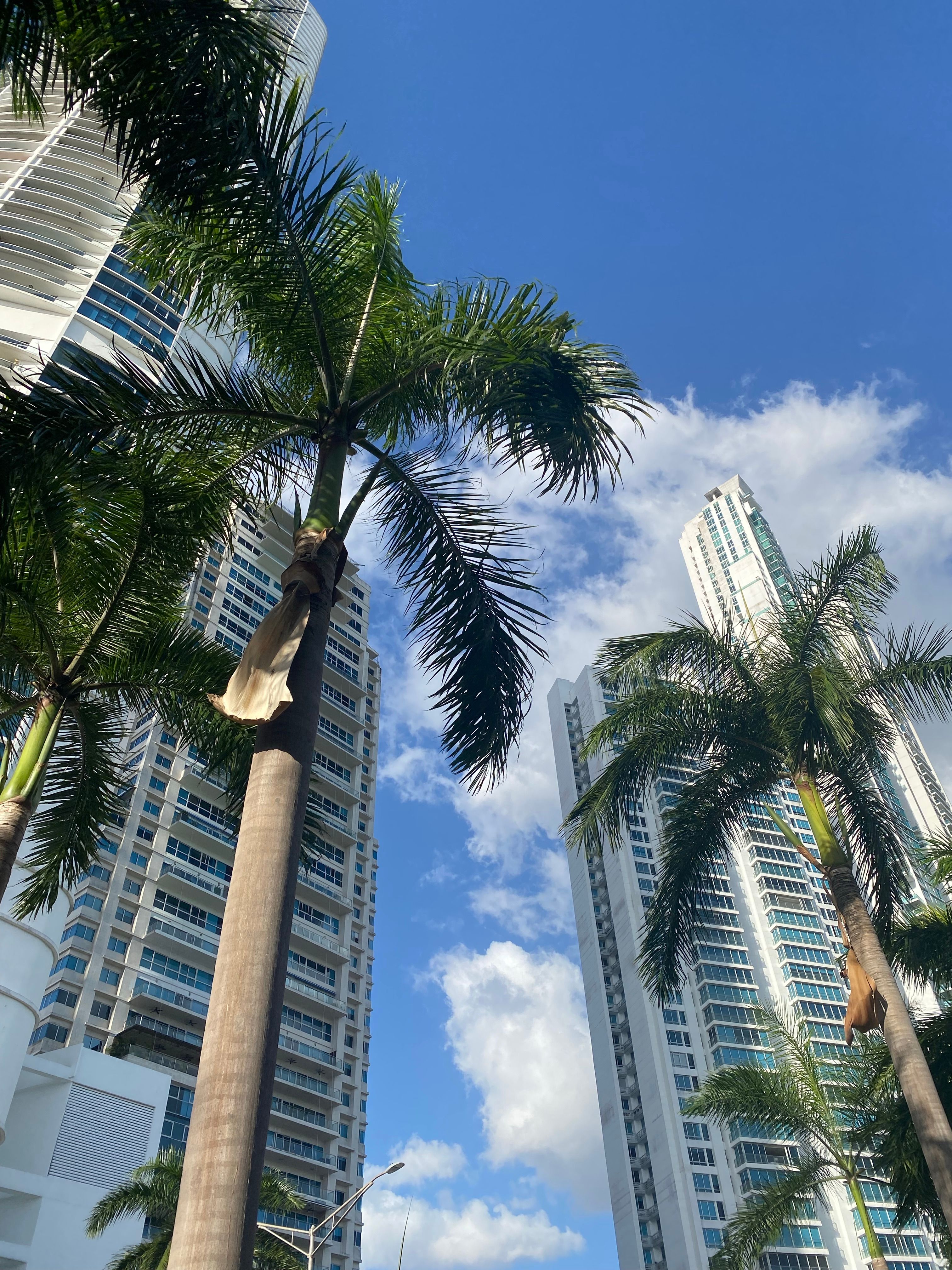 Panamá: por qué la productividad es el gran motor pendiente del crecimiento sostenible