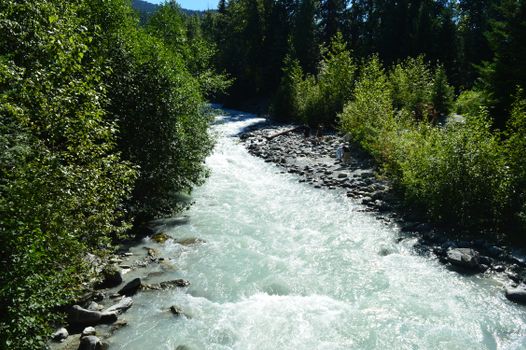 A vibrant river flowing through lush forest in Whistler, British Columbia.