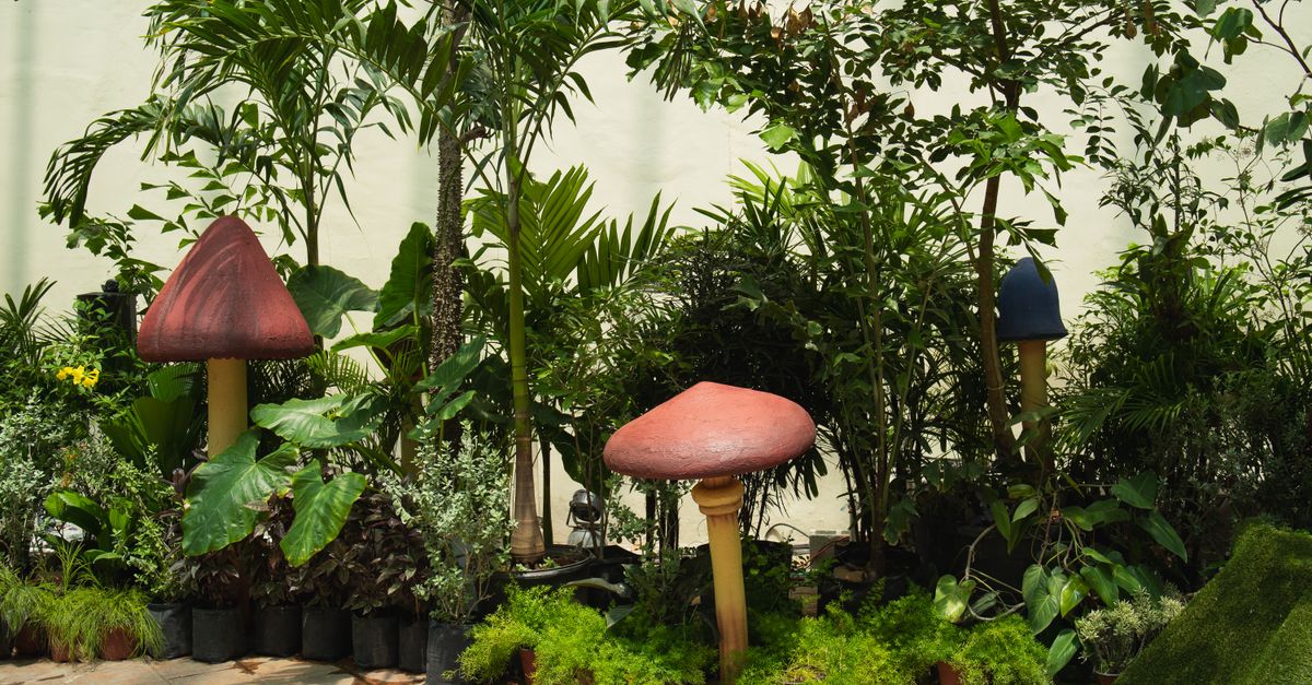 Beneficios de tener plantas en el interior del hogar