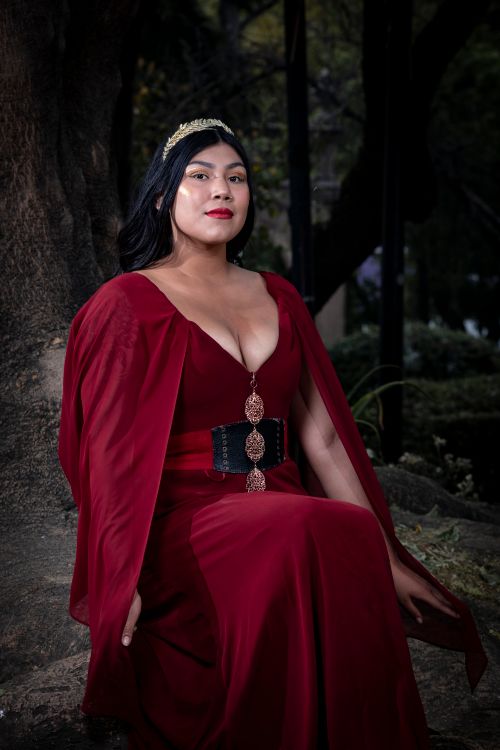 Free Woman in a red gown with golden accessories, sitting under a tree in a mystical outdoor setting. Stock Photo