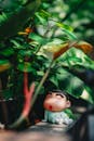 Playful Toy Figure Amidst Lush Greenery