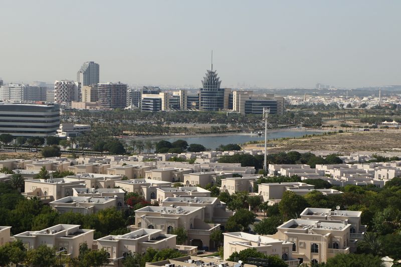 Dubai Silicon Oasis (DSO)