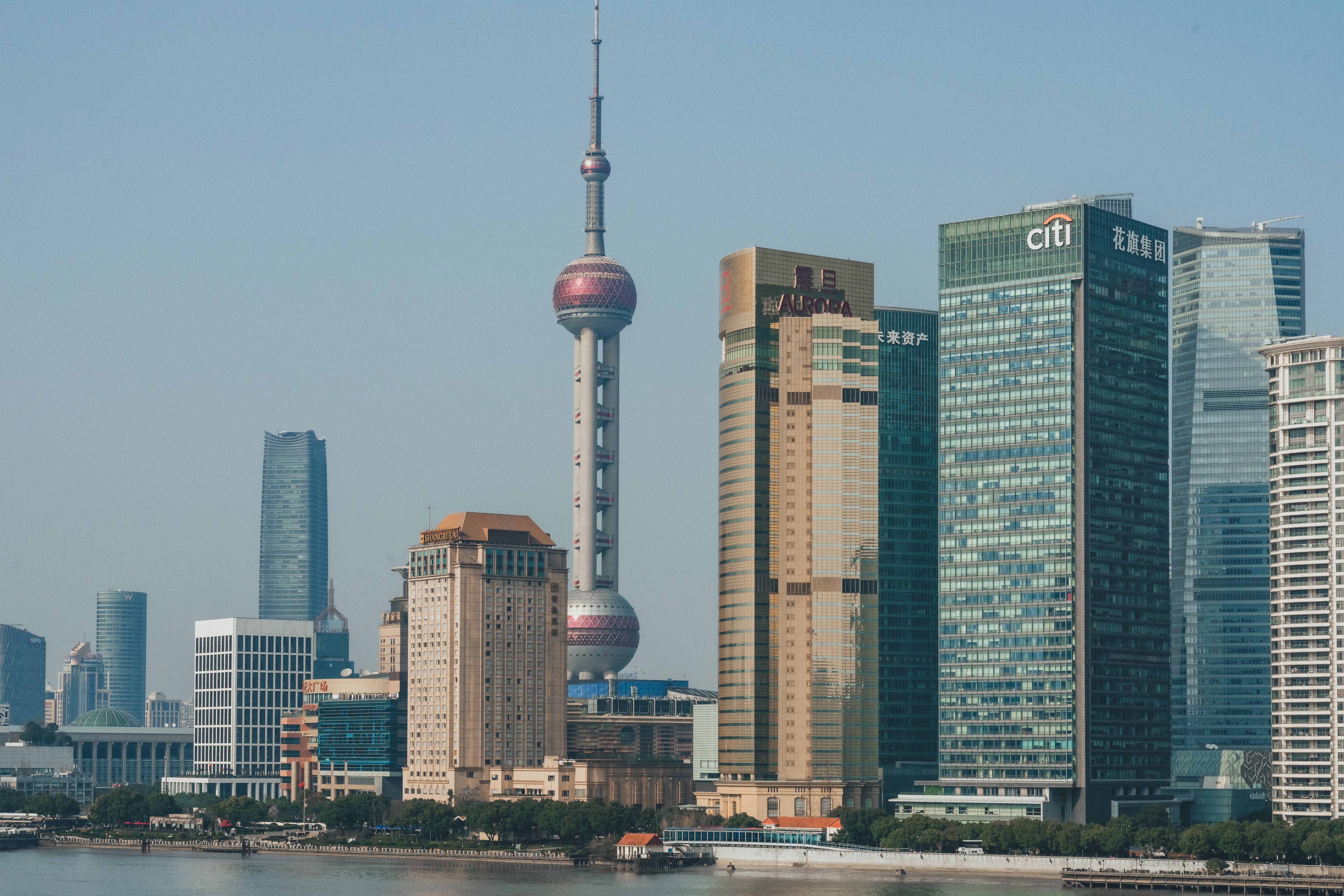 Shanghai Pudong Skyline