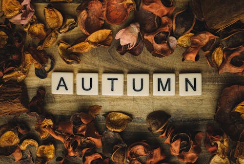 秋季詞包圍著葉子