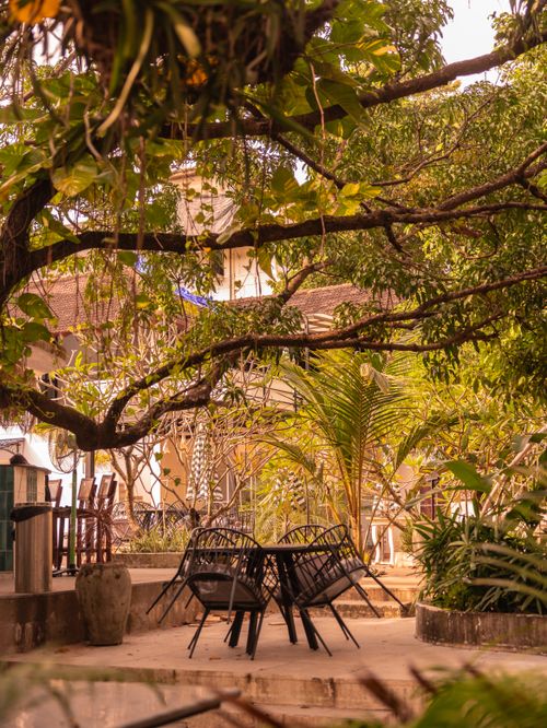 Free Serene outdoor seating area surrounded by lush greenery in Anjuna, Goa, India under a canopy of tropical trees. Stock Photo