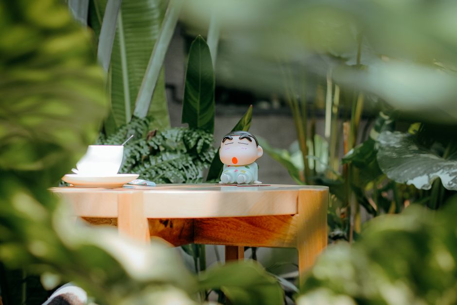 A whimsical toy figure placed on a wooden table surrounded by vibrant greenery in a serene outdoor garden.